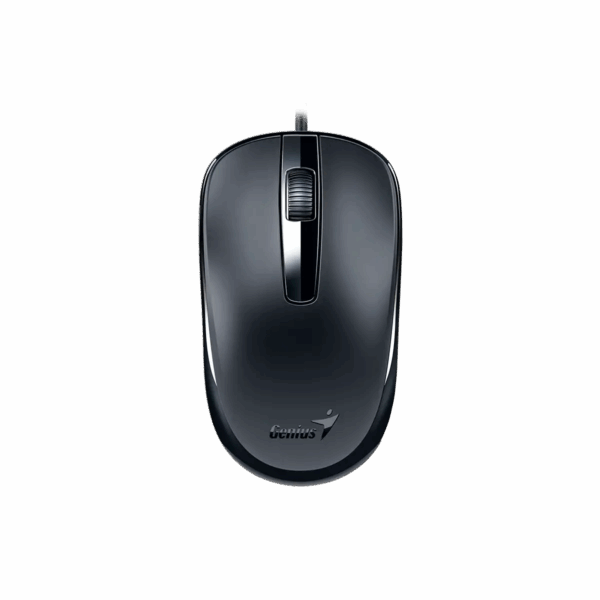 Mouse Genius USB DX-120