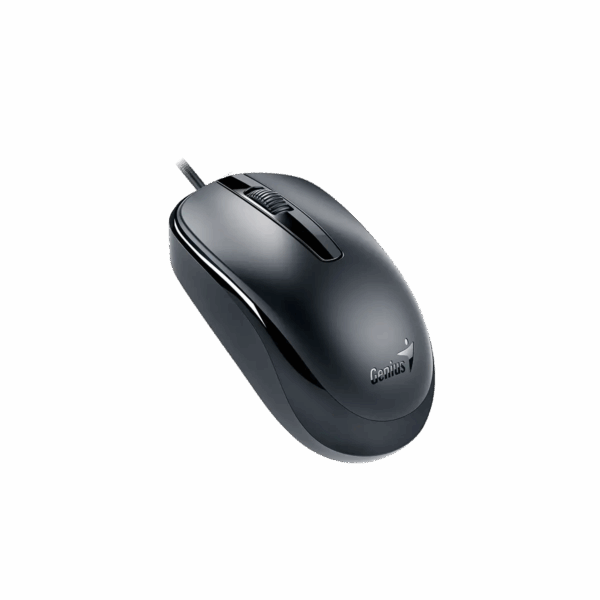 Mouse Genius USB DX-120