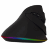Mouse Vertical RGB GMT11U